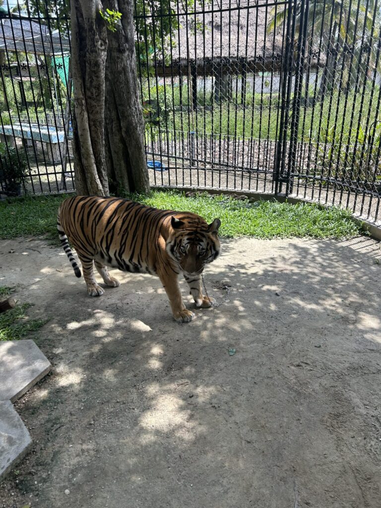 初めてのリフレッシュ休暇